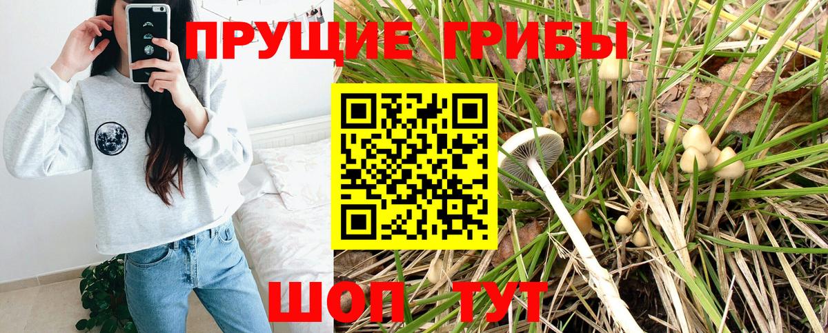 Псилоцибиновые грибы мухоморы Кропоткин