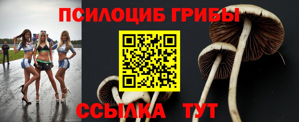 Псилоцибиновые грибы Psilocybine cubensis  Вход с VPN  Кропоткин  Галлюциногенные грибы Psilocybe 